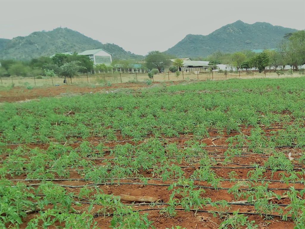 farm